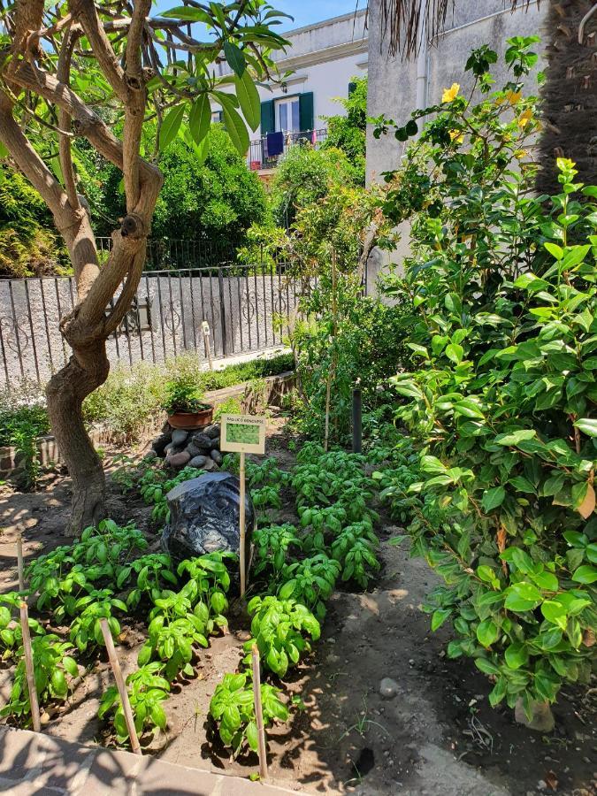 Villa Casa Dafne Lipari  Exterior foto